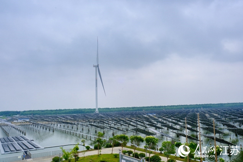 盐城东台市“风光渔”互补产业基地。 人民网 常雨薇摄