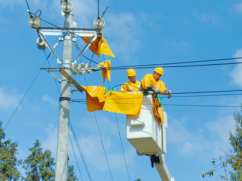 南方电网工作人员在遵义市务川仡佬族苗族自治县大坪镇开展带电作业,保障群众冬季用电无忧。王君辉摄.jpg
