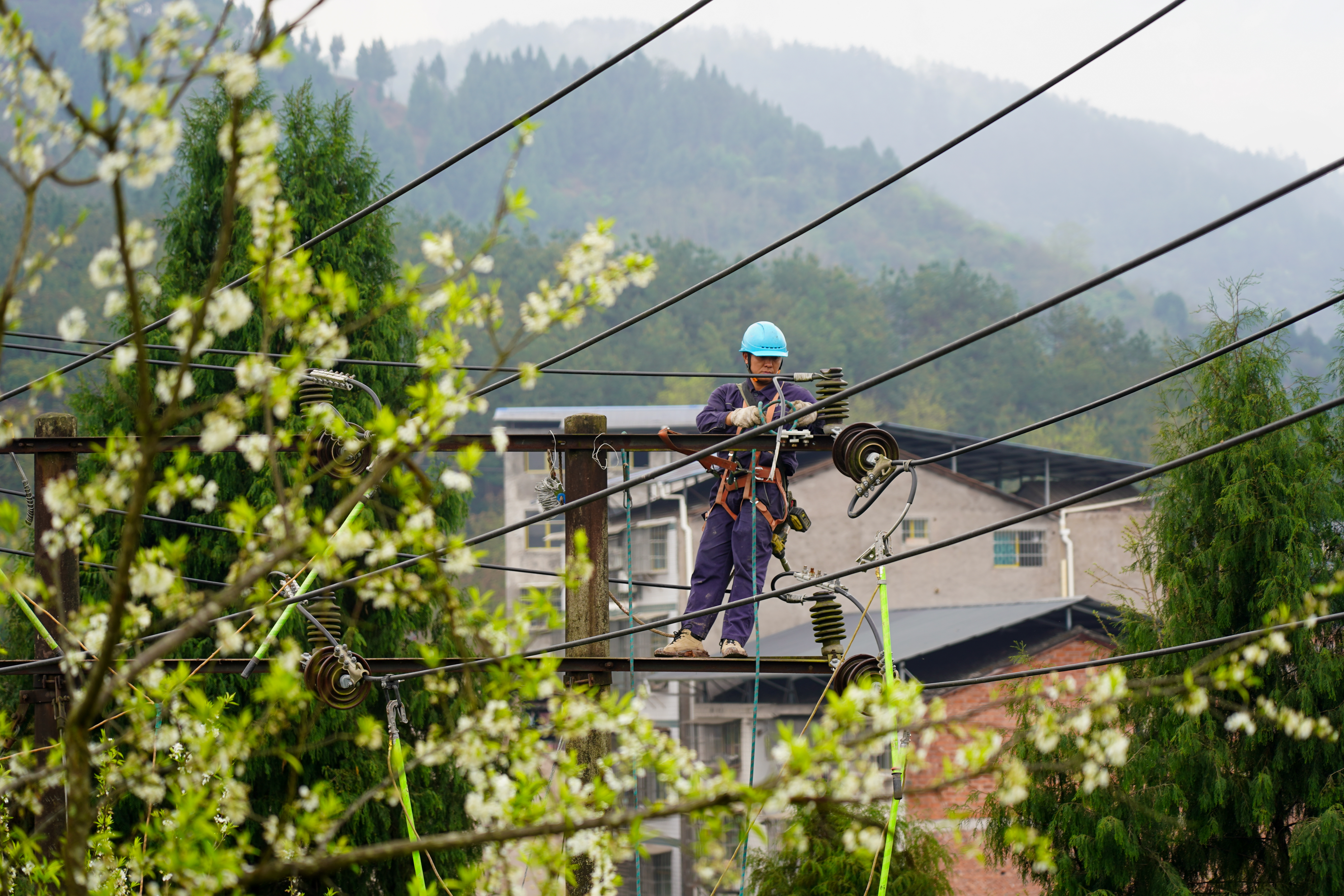 3月23日，国网重庆开州供电公司员工在杆上更换架空线路。（安姚鑫 摄）.jpg