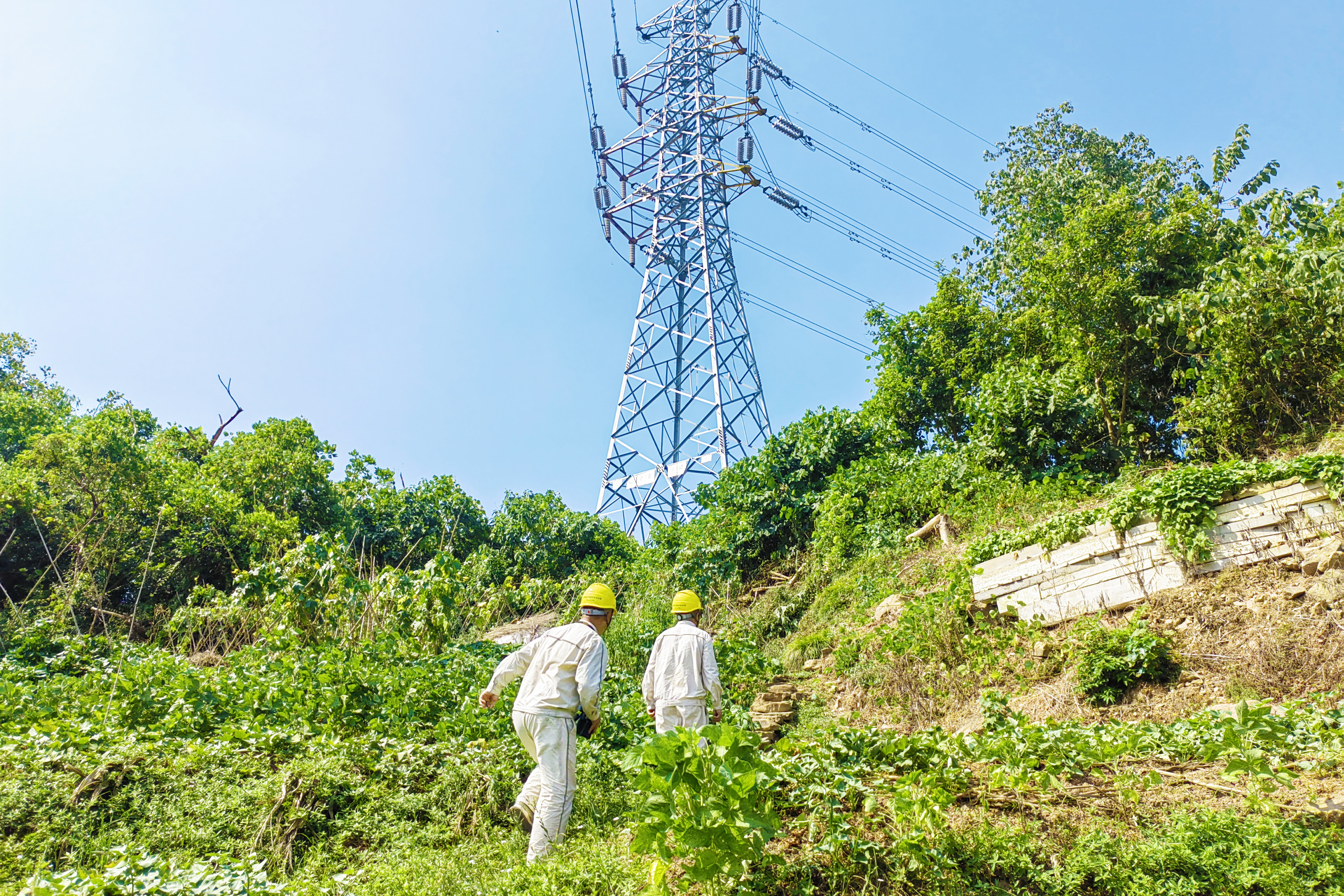 8月19日，国网重庆铜梁供电公司员工刘春、杨贤立在110千伏金湖东西线5号塔附近开展防山火线路设备特巡。（欧兵） (1).jpg