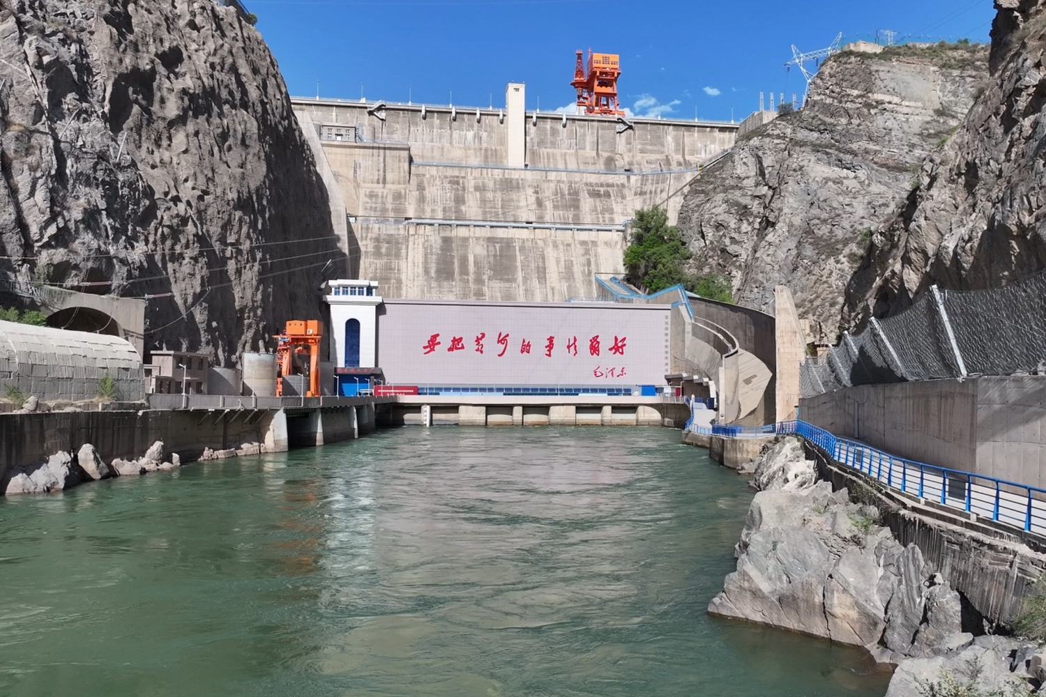 aijiao (1).jpg
